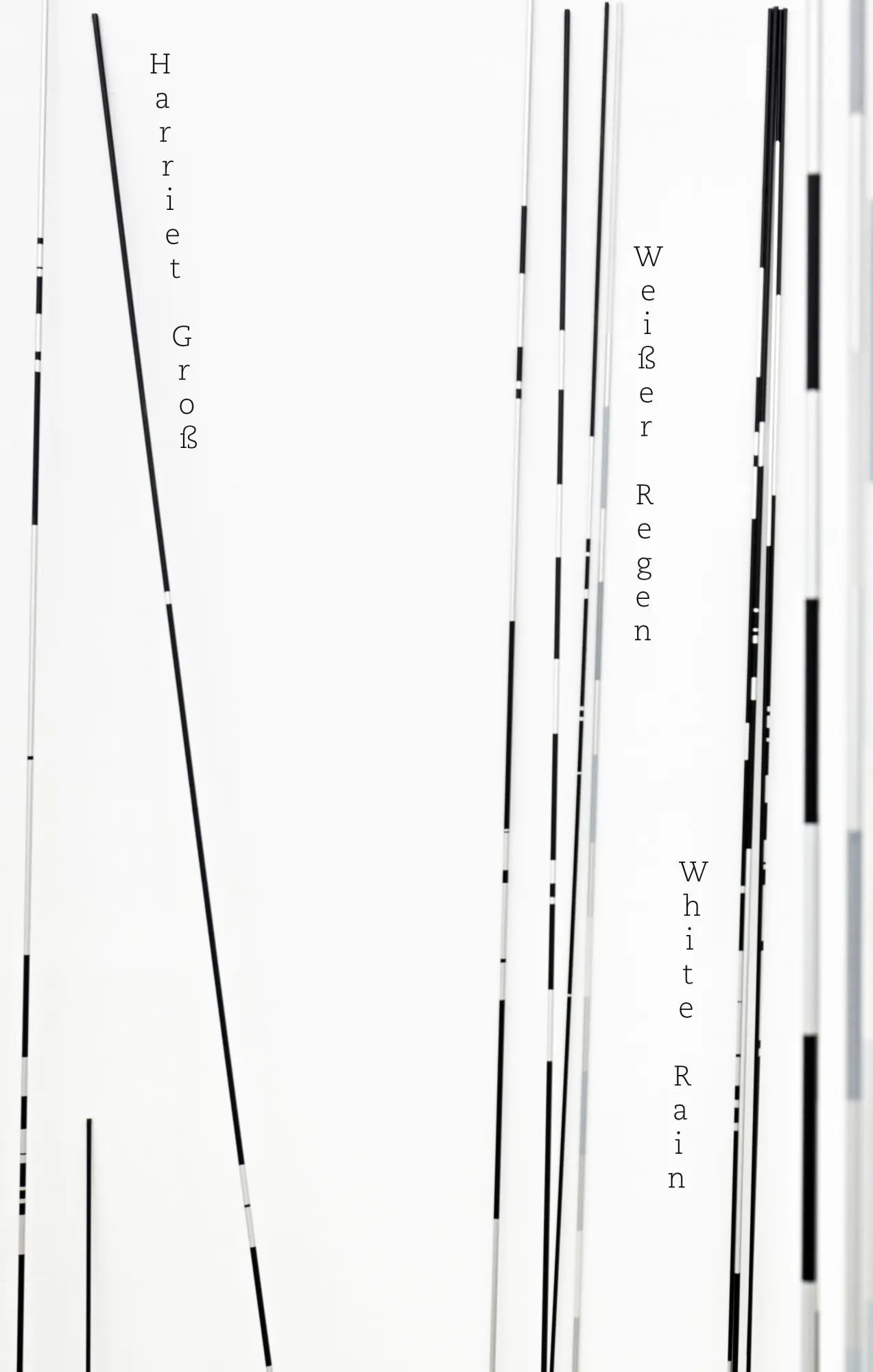 Cover: 9783962160098 | White Rain / Weißer Regen | Dt/engl | Harriet Groß | Buch | 134 S.