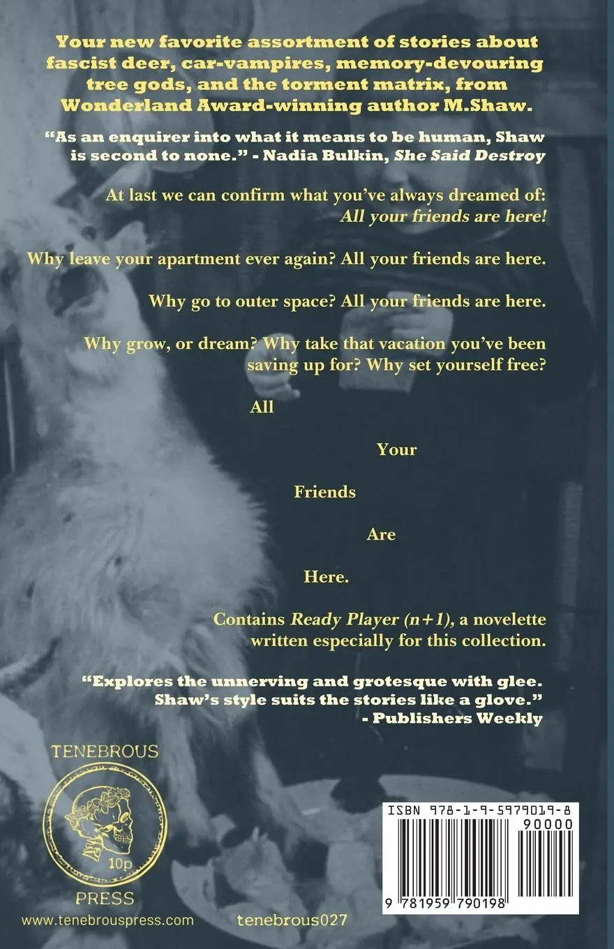 Rückseite: 9781959790198 | All Your Friends are Here | M. Shaw | Taschenbuch | Englisch | 2024