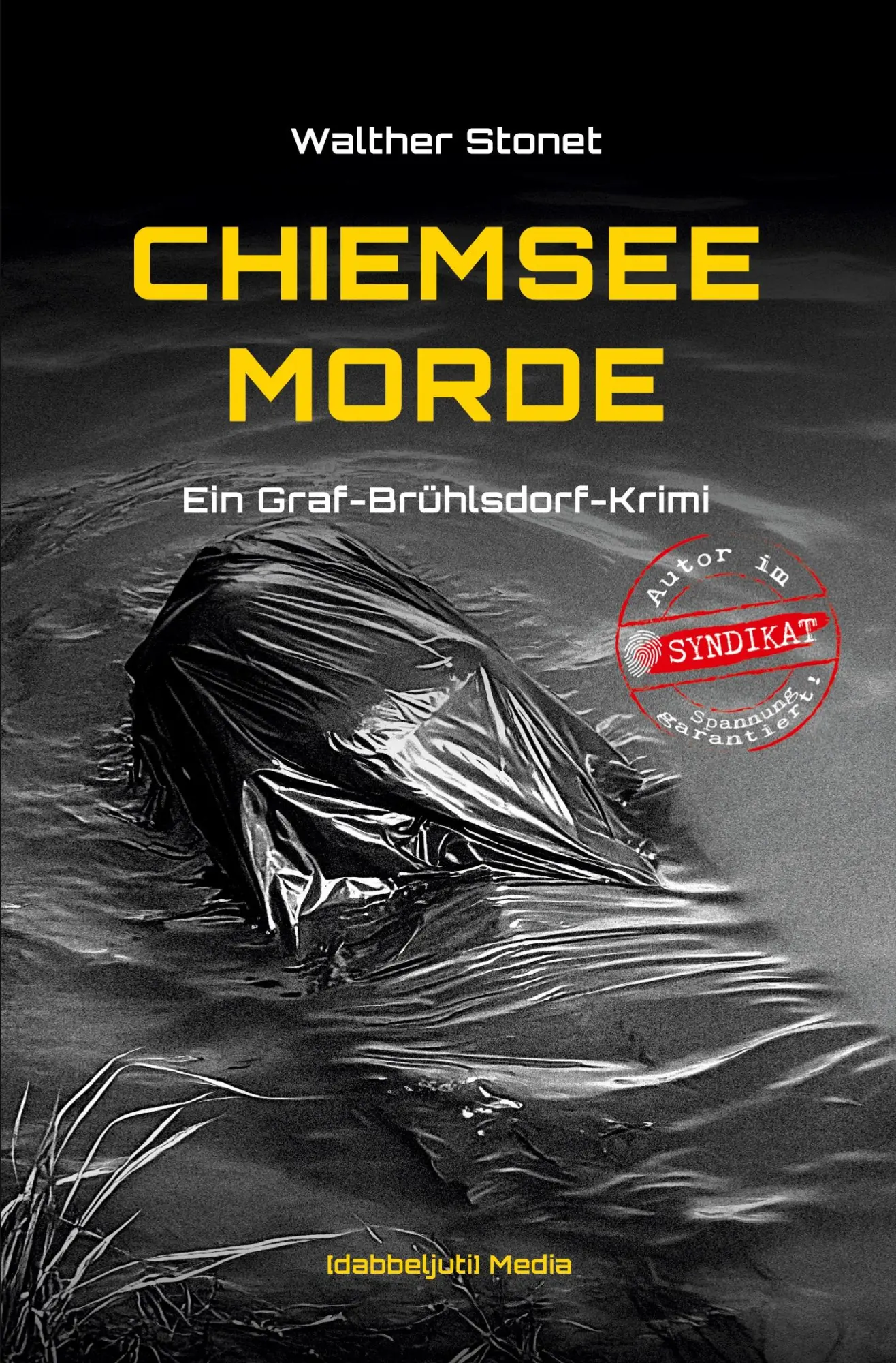 Cover: 9783819440298 | Chiemsee Morde | Ein Graf-Brühlsdorf-Krimi | Walther Stonet | Buch