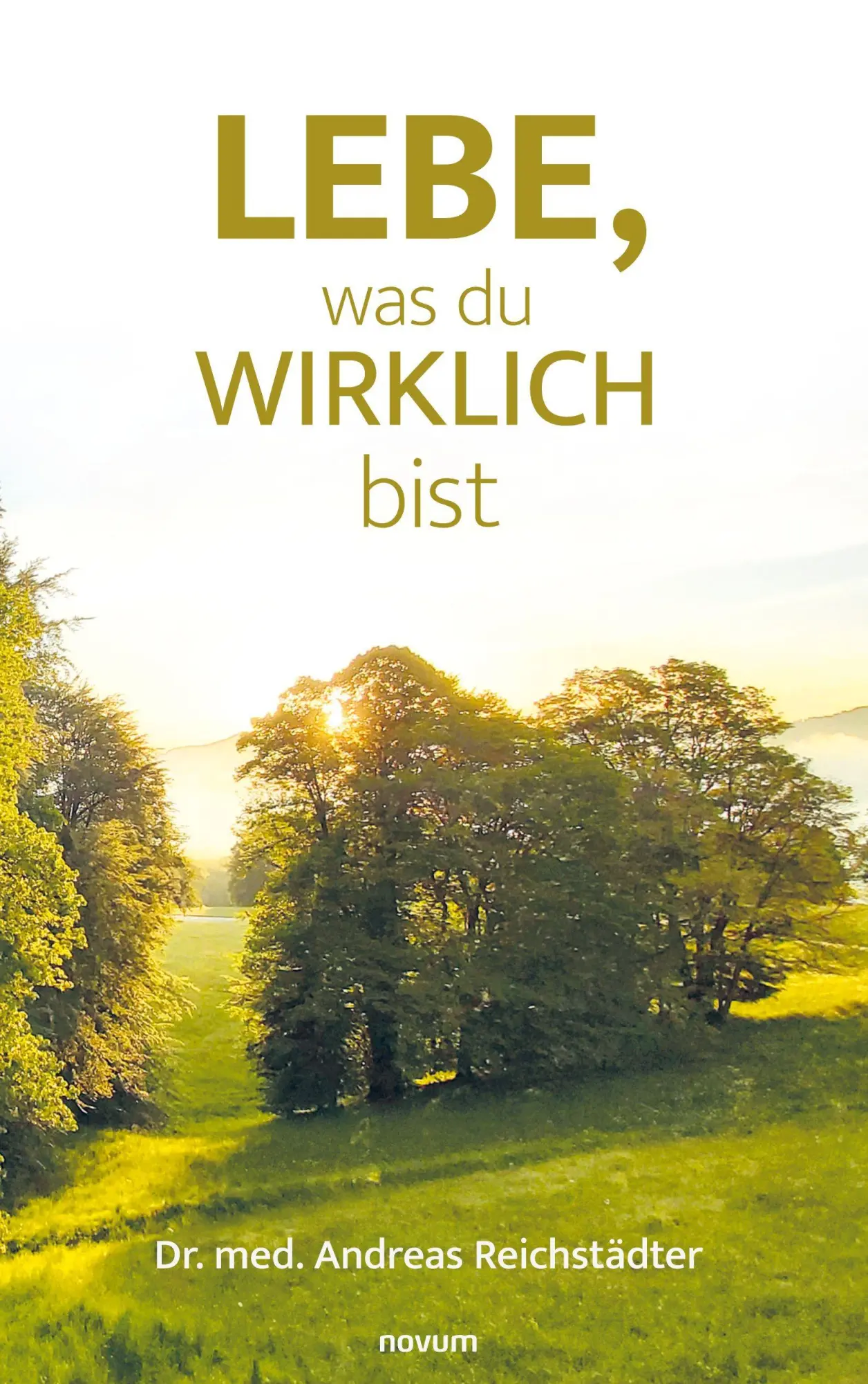 Cover: 9783991850298 | Lebe, was du wirklich bist | Andreas Reichstädter | Taschenbuch | 2025