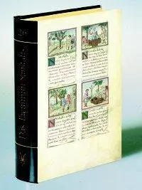 Cover: 9783201020398 | Glanzlichter der Buchkunst | Tacuinum Sanitatis | Buch | Deutsch