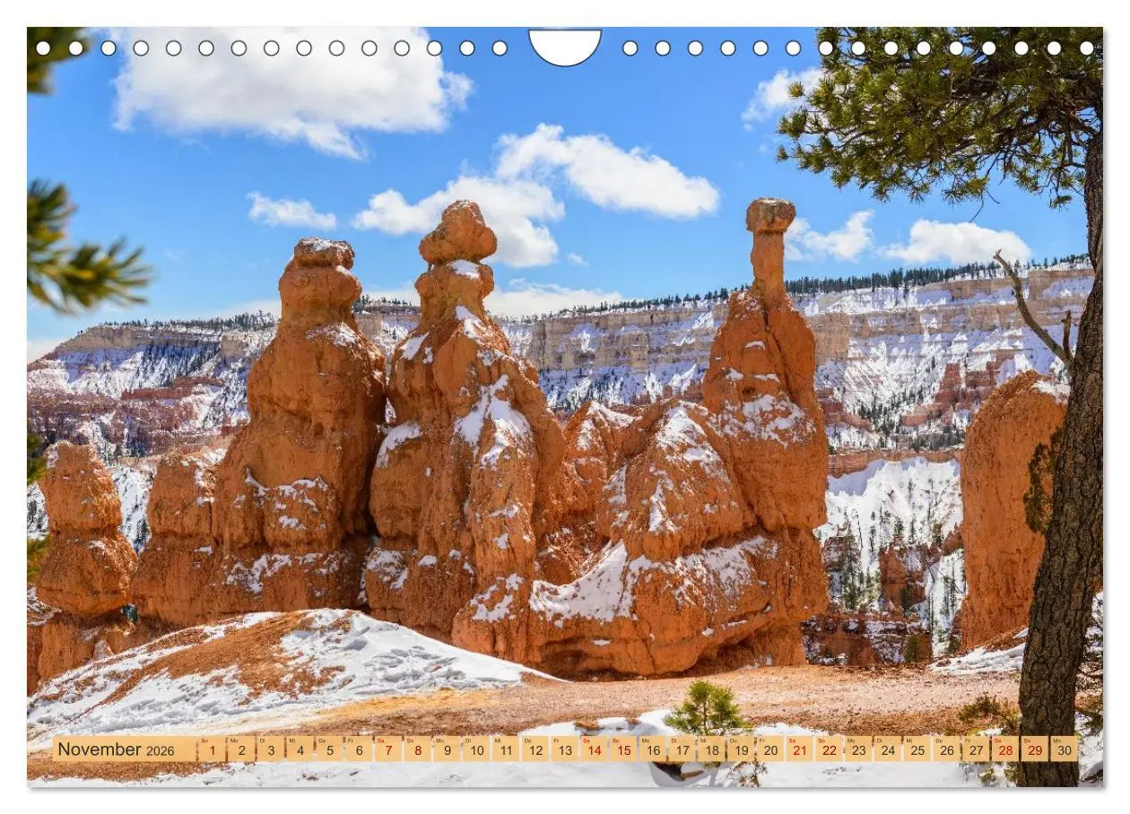 Bild: 9783457300398 | Magisches Wunderland in Weiss (Wandkalender 2026 DIN A4 quer),...