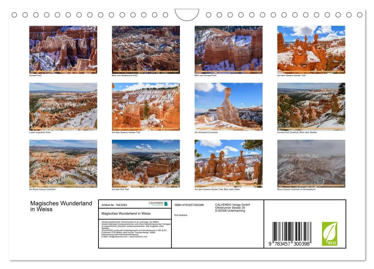 Bild: 9783457300398 | Magisches Wunderland in Weiss (Wandkalender 2026 DIN A4 quer),...