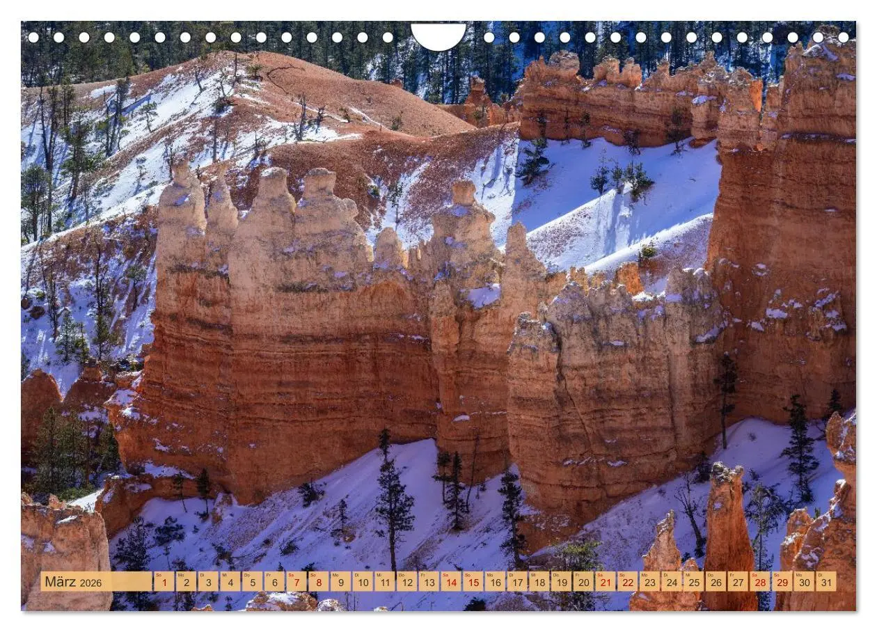 Bild: 9783457300398 | Magisches Wunderland in Weiss (Wandkalender 2026 DIN A4 quer),...