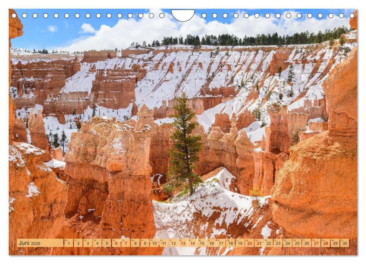 Bild: 9783457300398 | Magisches Wunderland in Weiss (Wandkalender 2026 DIN A4 quer),...