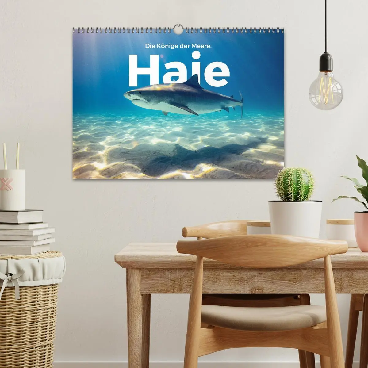 Bild: 9783457610398 | Haie - Könige der Meere. (Wandkalender 2026 DIN A3 quer), CALVENDO...