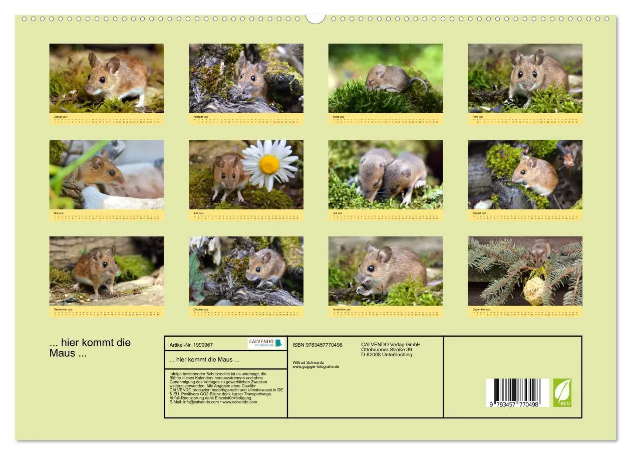 Bild: 9783457770498 | ... hier kommt die Maus ... (hochwertiger Premium Wandkalender 2026...
