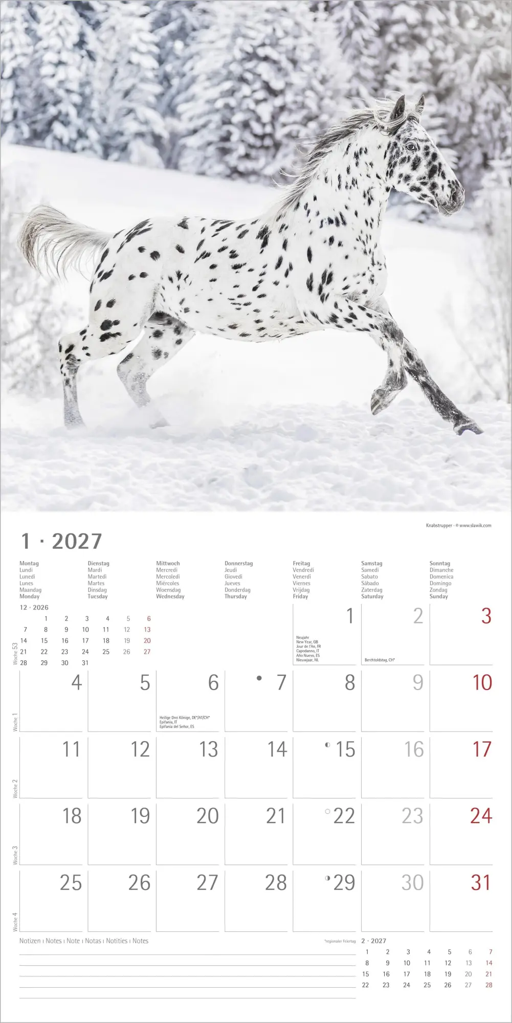 Bild: 4069095010598 | Pferde 2027 | Neumann Verlage GmbH &amp; Co KG | Kalender | 14 S. | 2027
