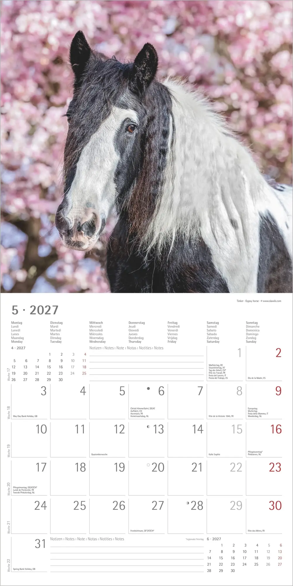 Bild: 4069095010598 | Pferde 2027 | Neumann Verlage GmbH &amp; Co KG | Kalender | 14 S. | 2027