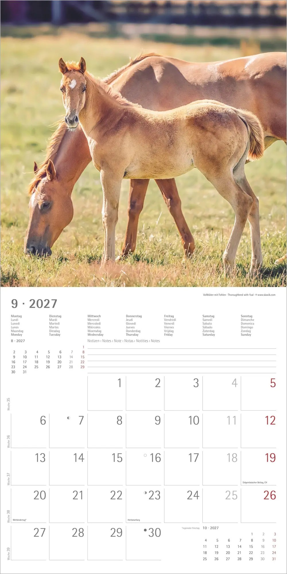 Bild: 4069095010598 | Pferde 2027 | Neumann Verlage GmbH &amp; Co KG | Kalender | 14 S. | 2027