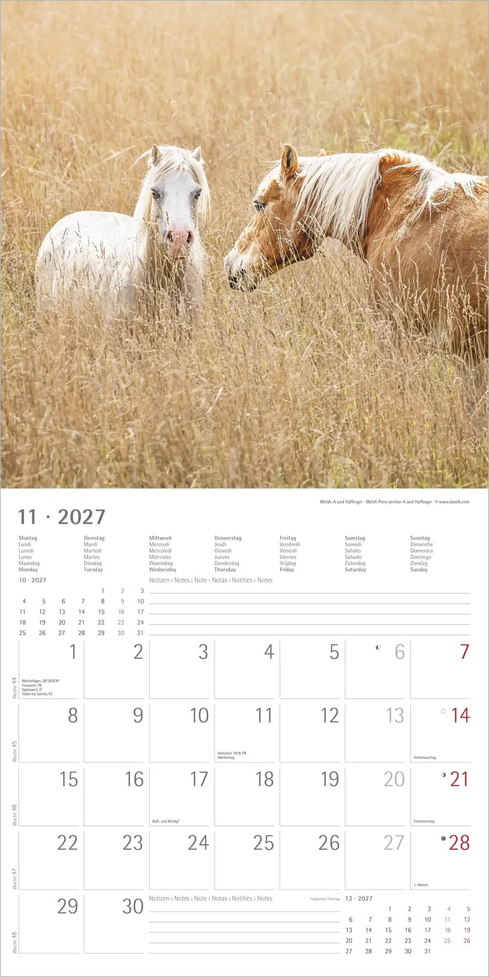 Bild: 4069095010598 | Pferde 2027 | Neumann Verlage GmbH &amp; Co KG | Kalender | 14 S. | 2027