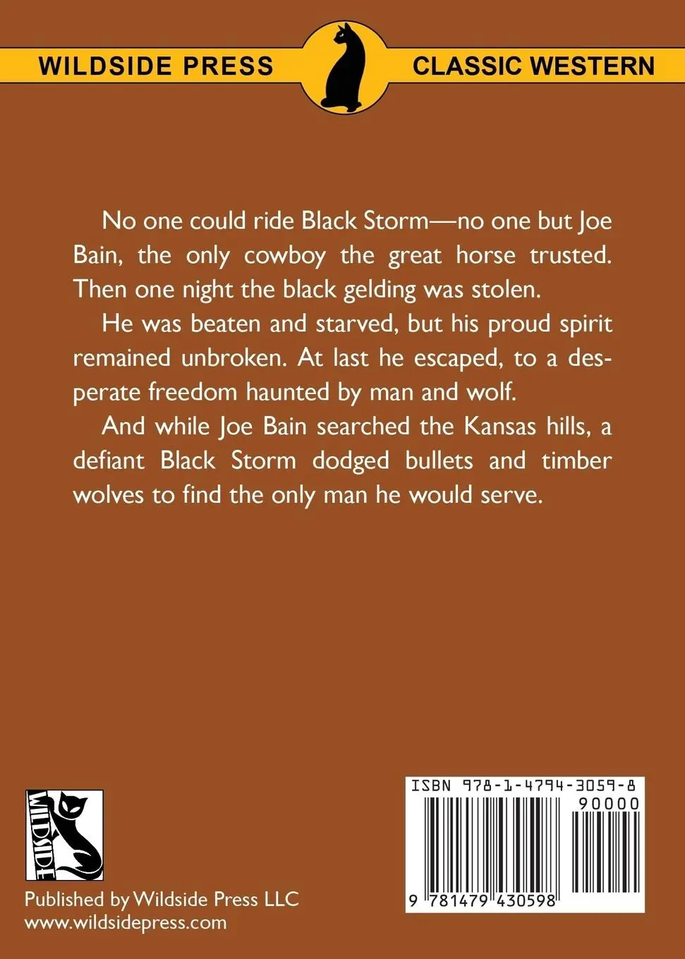 Rückseite: 9781479430598 | Black Storm | Thomas C. Hinkle | Taschenbuch | Englisch | 2018
