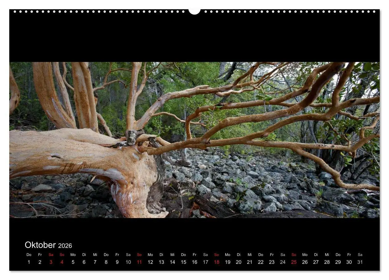 Bild: 9783516160598 | Patagonien - Ungezähmtes Land (Wandkalender 2026 DIN A2 quer),...