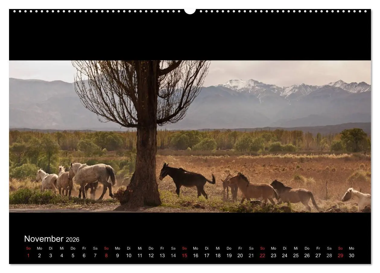 Bild: 9783516160598 | Patagonien - Ungezähmtes Land (Wandkalender 2026 DIN A2 quer),...