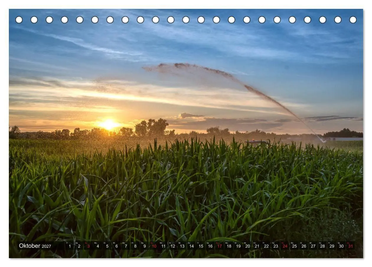 Bild: 9783569700598 | Ketsch am Rhein (Tischkalender 2027 DIN A5 quer), CALVENDO...