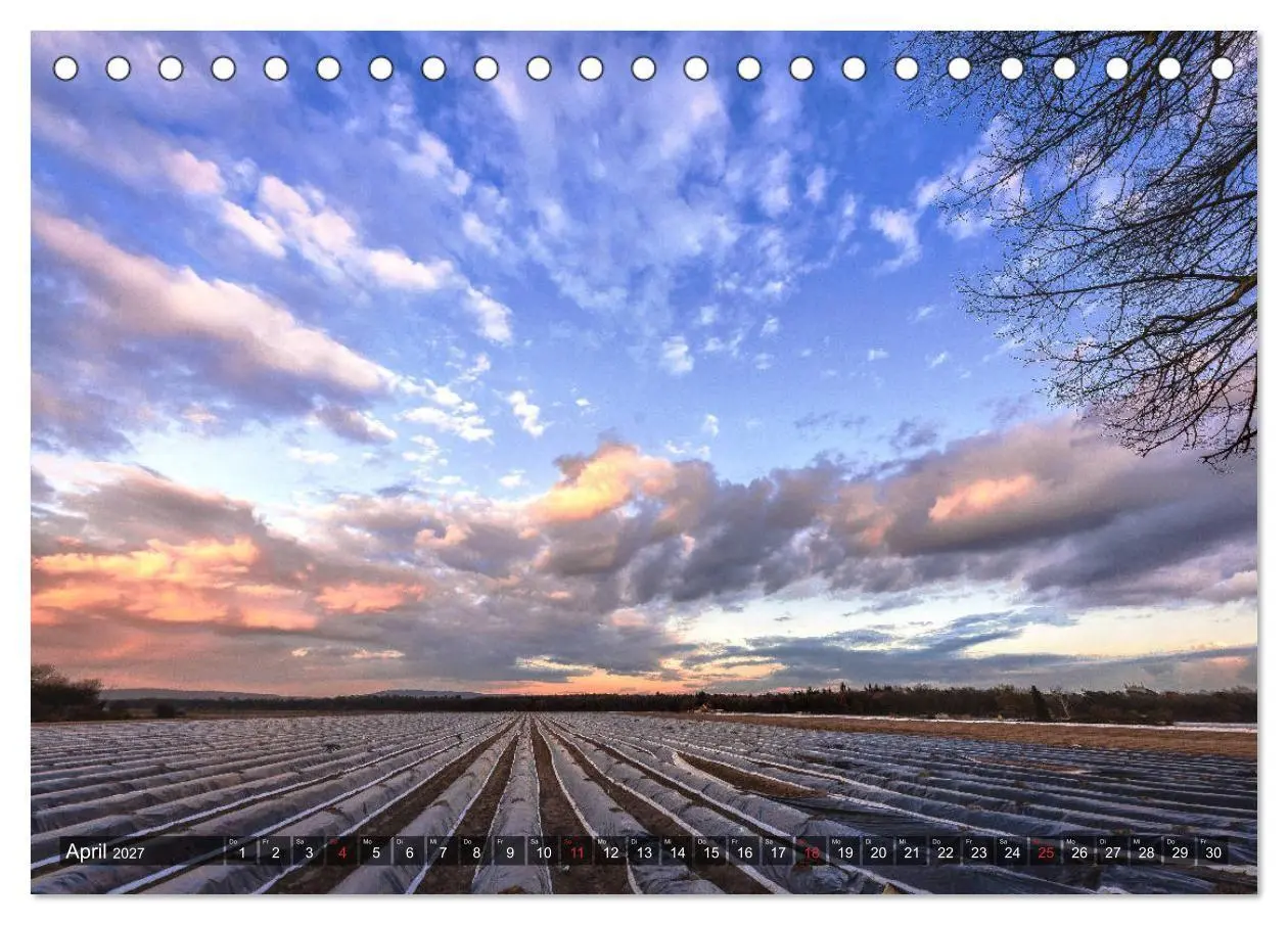 Bild: 9783569700598 | Ketsch am Rhein (Tischkalender 2027 DIN A5 quer), CALVENDO...
