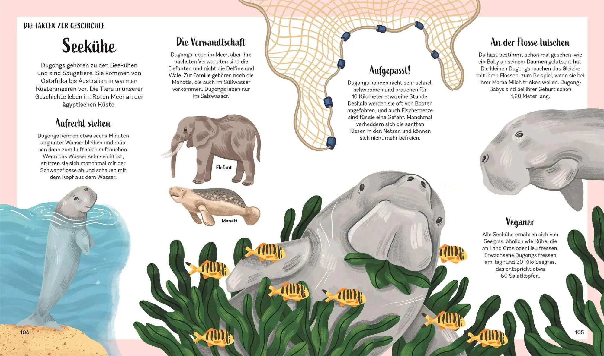 Bild: 9783831050598 | Tiergeschichten zum Träumen. Zauber des Meeres | Alicia Klepeis | Buch