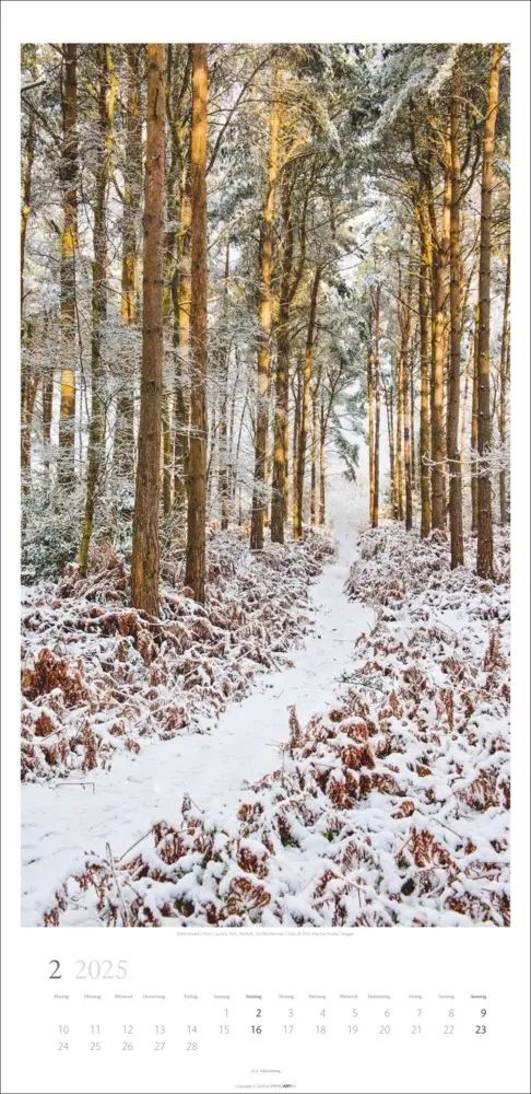 Bild: 9783839900598 | Im Wald Kalender 2025 | Kalender | Spiralbindung | Kalender | Deutsch