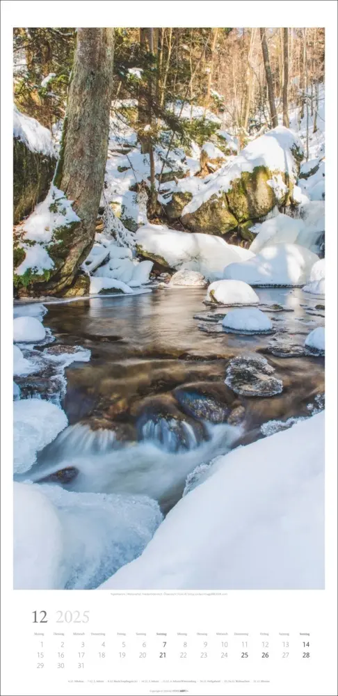 Bild: 9783839900598 | Im Wald Kalender 2025 | Kalender | Spiralbindung | Kalender | Deutsch