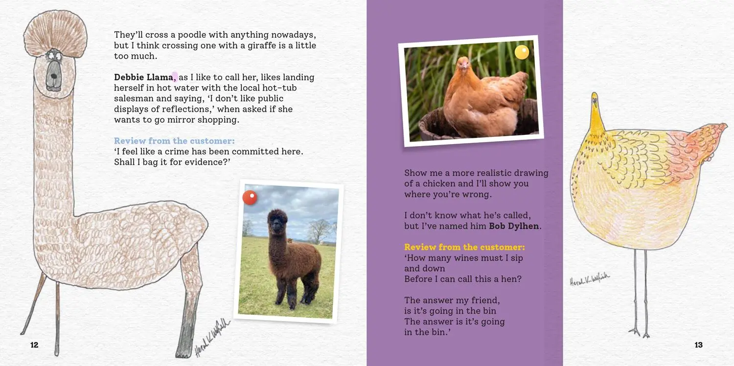 Bild: 9780008720698 | More Rubbish Pet Portraits | Hercule van Wolfwinkle | Buch | Englisch