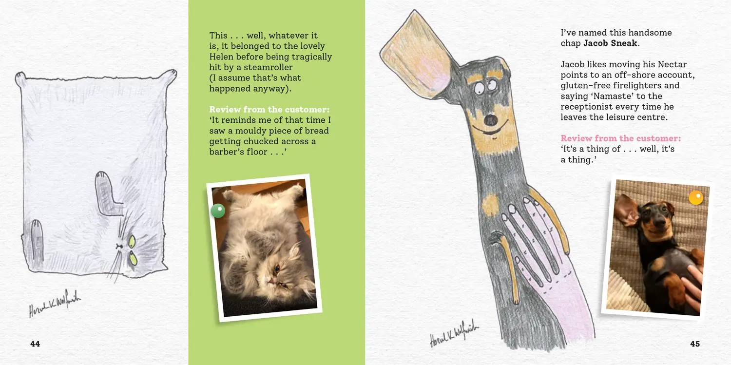 Bild: 9780008720698 | More Rubbish Pet Portraits | Hercule van Wolfwinkle | Buch | Englisch