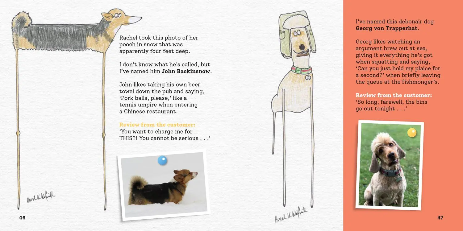 Bild: 9780008720698 | More Rubbish Pet Portraits | Hercule van Wolfwinkle | Buch | Englisch