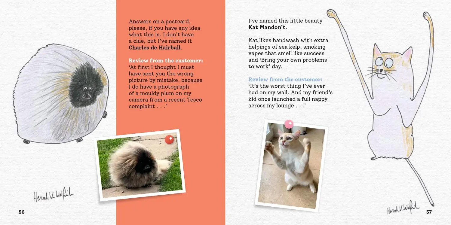 Bild: 9780008720698 | More Rubbish Pet Portraits | Hercule van Wolfwinkle | Buch | Englisch