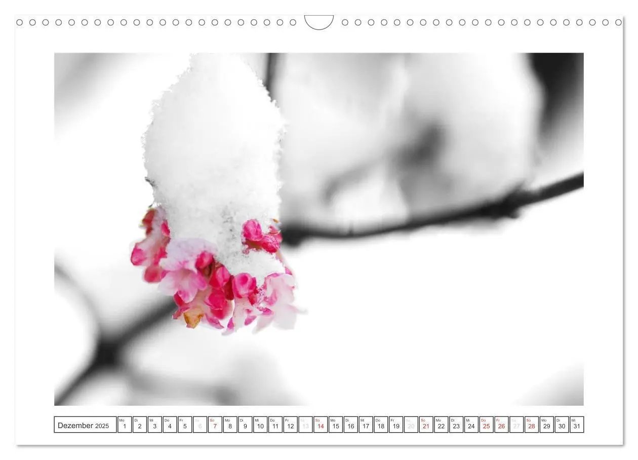 Bild: 9783435730698 | Natur schwarz - weiß Malerei (Wandkalender 2025 DIN A3 quer),...