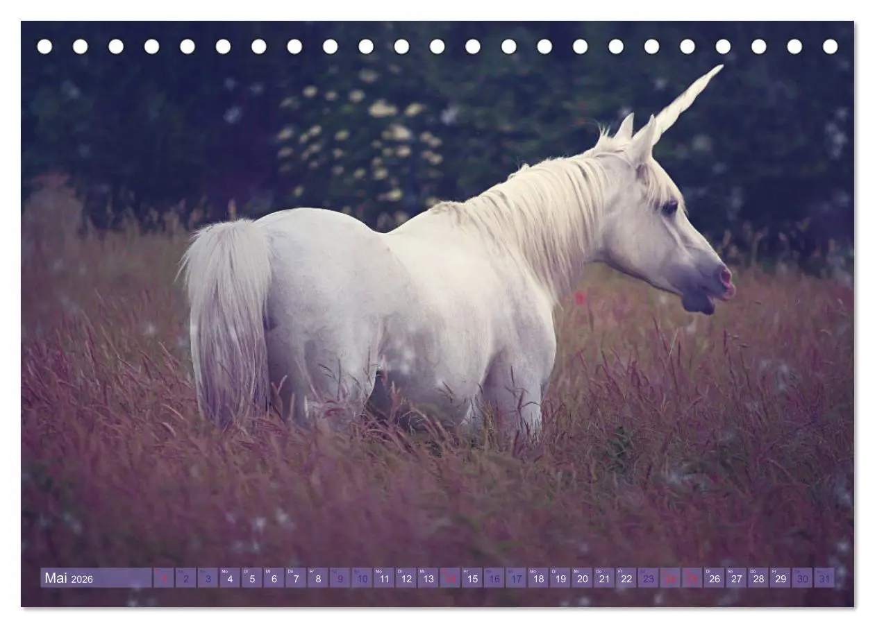 Bild: 9783457820698 | Einhorn Love - Fantasiewelt (Tischkalender 2026 DIN A5 quer),...