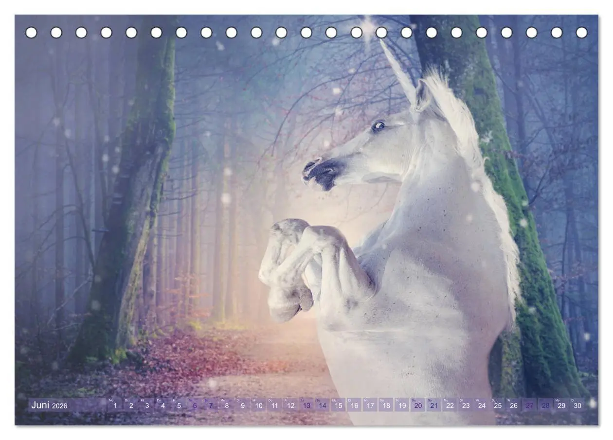 Bild: 9783457820698 | Einhorn Love - Fantasiewelt (Tischkalender 2026 DIN A5 quer),...