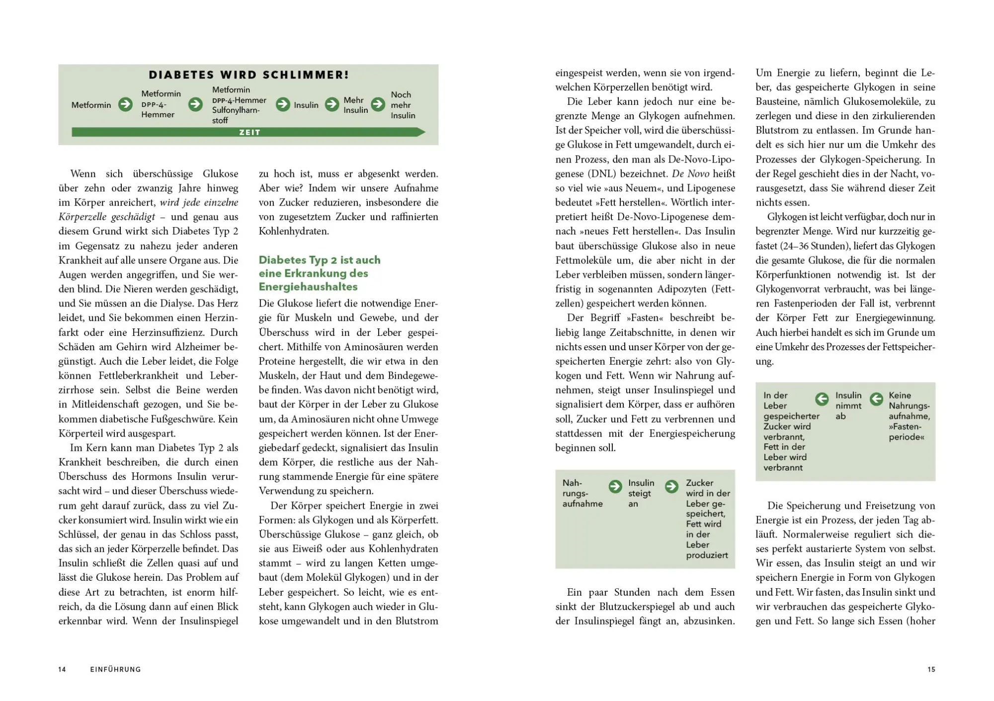 Bild: 9783742320698 | Diabetes rückgängig machen - Das Kochbuch | Jason Fung | Taschenbuch