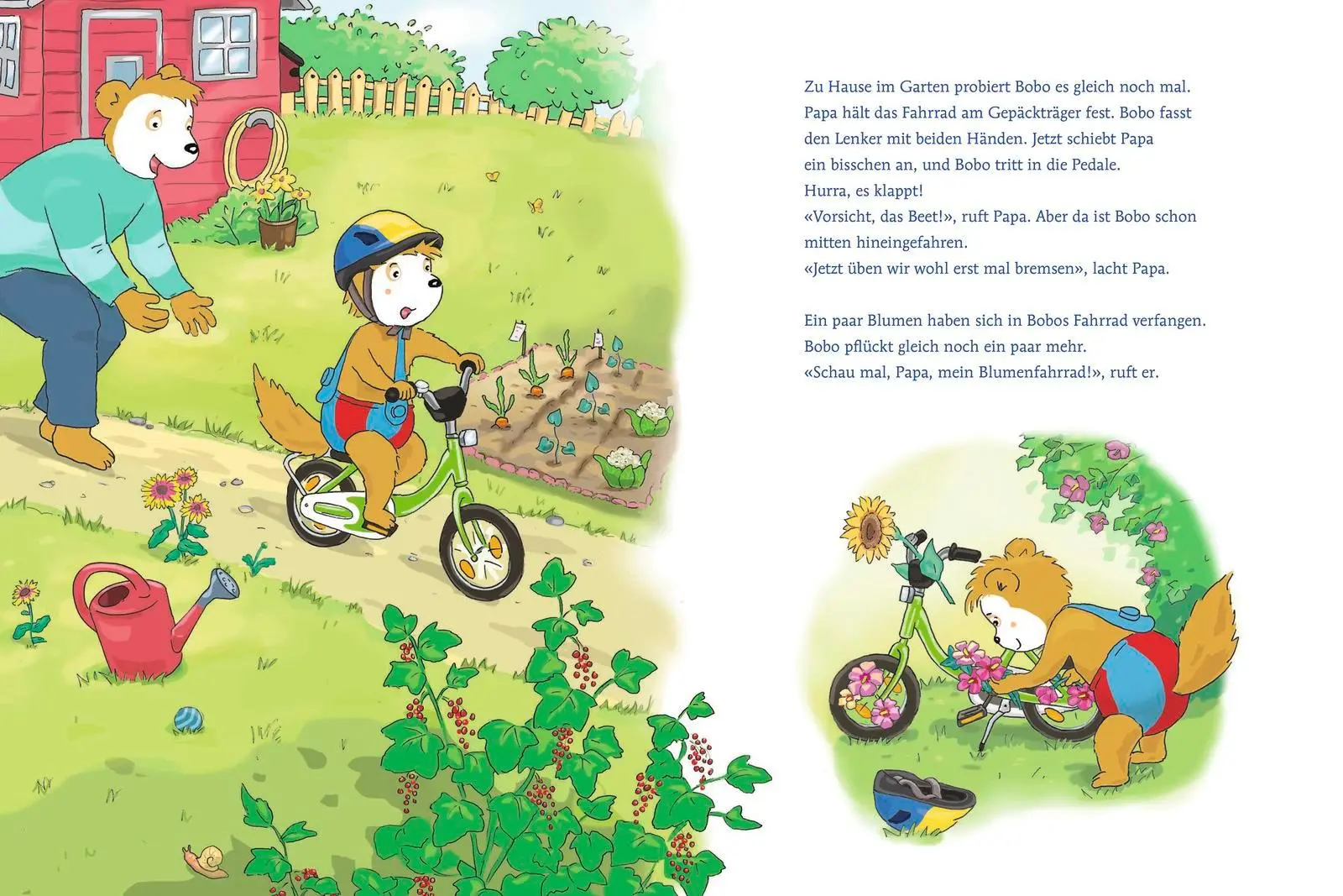 Bild: 9783757100698 | Bobo Siebenschläfer kann schon Rad fahren | Markus Osterwalder | Buch
