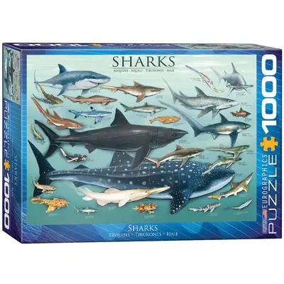 Cover: 628136600798 | Sharks | Spiel | Englisch | 2022 | Eurographics | EAN 0628136600798