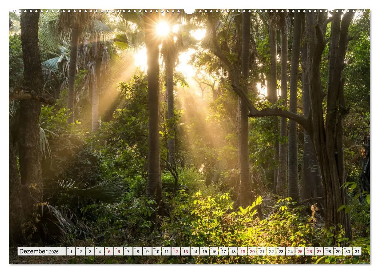 Bild: 9783457670798 | Westafrika - The Gambia (hochwertiger Premium Wandkalender 2026 DIN...