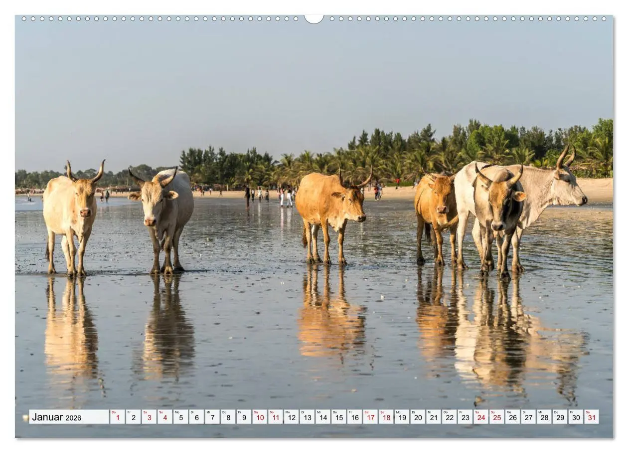 Bild: 9783457670798 | Westafrika - The Gambia (hochwertiger Premium Wandkalender 2026 DIN...