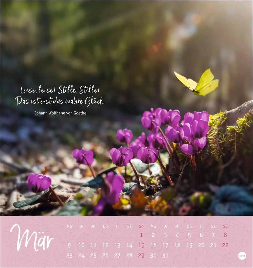 Bild: 9783756410798 | Stille Momente Postkartenkalender 2026 | Heye | Kalender | 13 S.