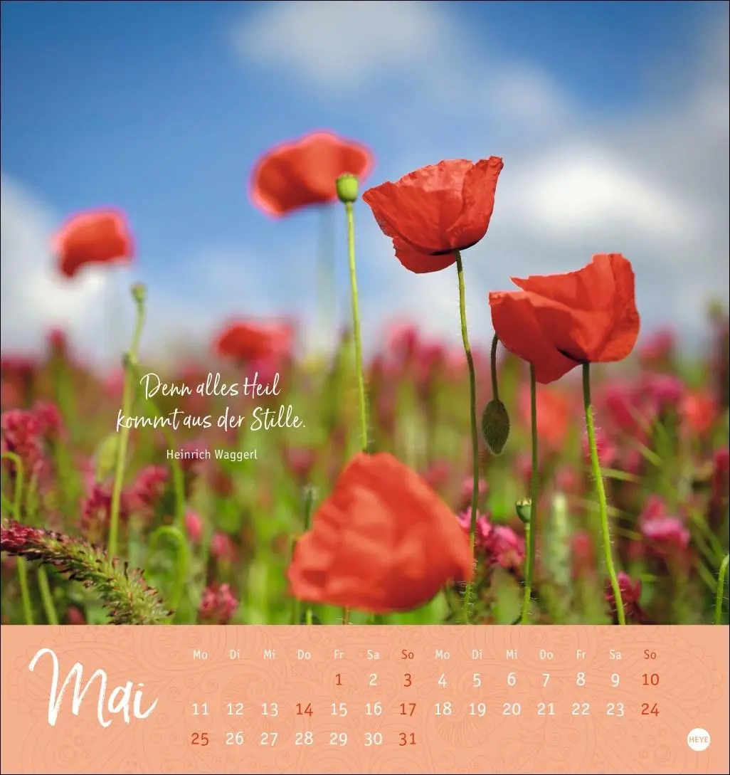 Bild: 9783756410798 | Stille Momente Postkartenkalender 2026 | Heye | Kalender | 13 S.