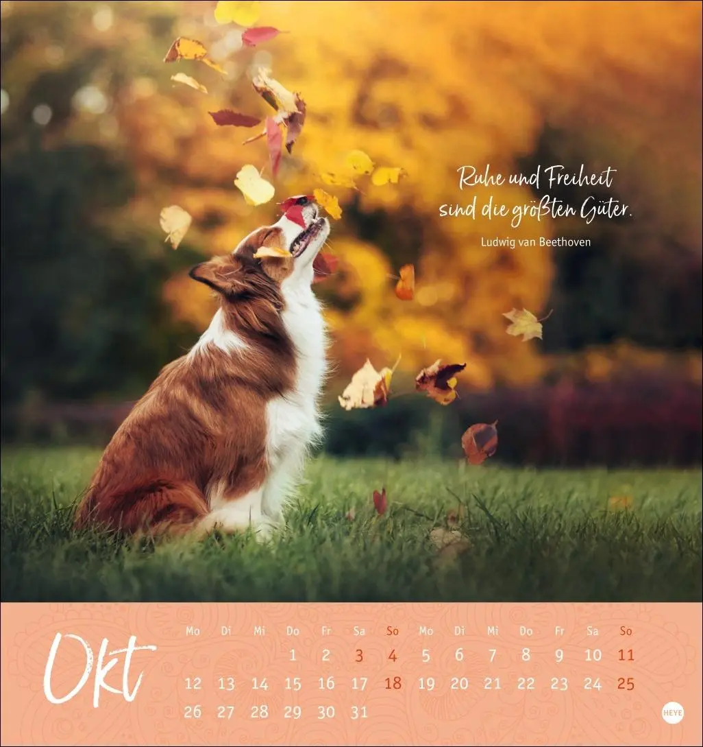 Bild: 9783756410798 | Stille Momente Postkartenkalender 2026 | Heye | Kalender | 13 S.