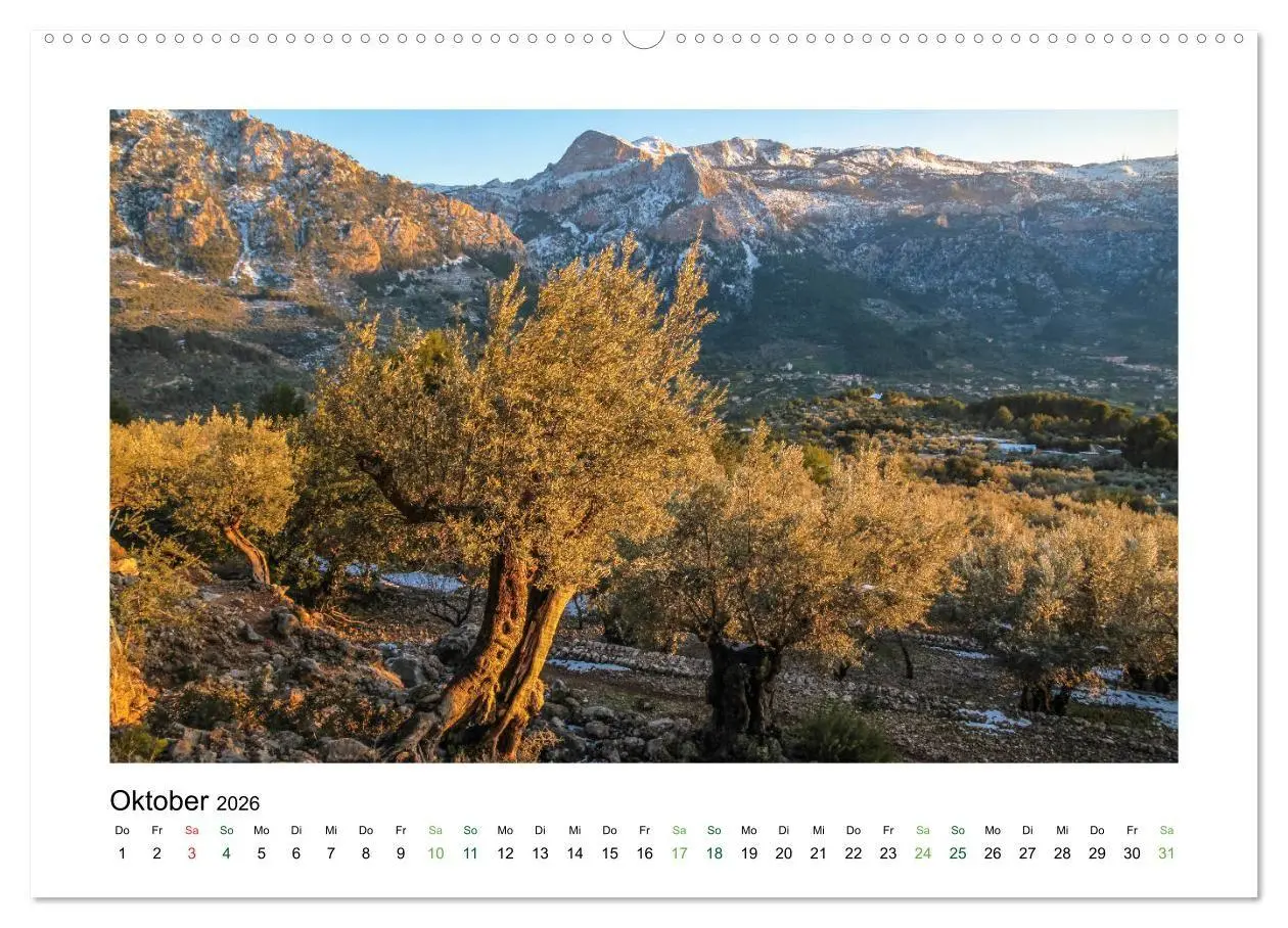 Bild: 9783516680898 | Sehnsucht nach Mallorca (Wandkalender 2026 DIN A2 quer), CALVENDO...