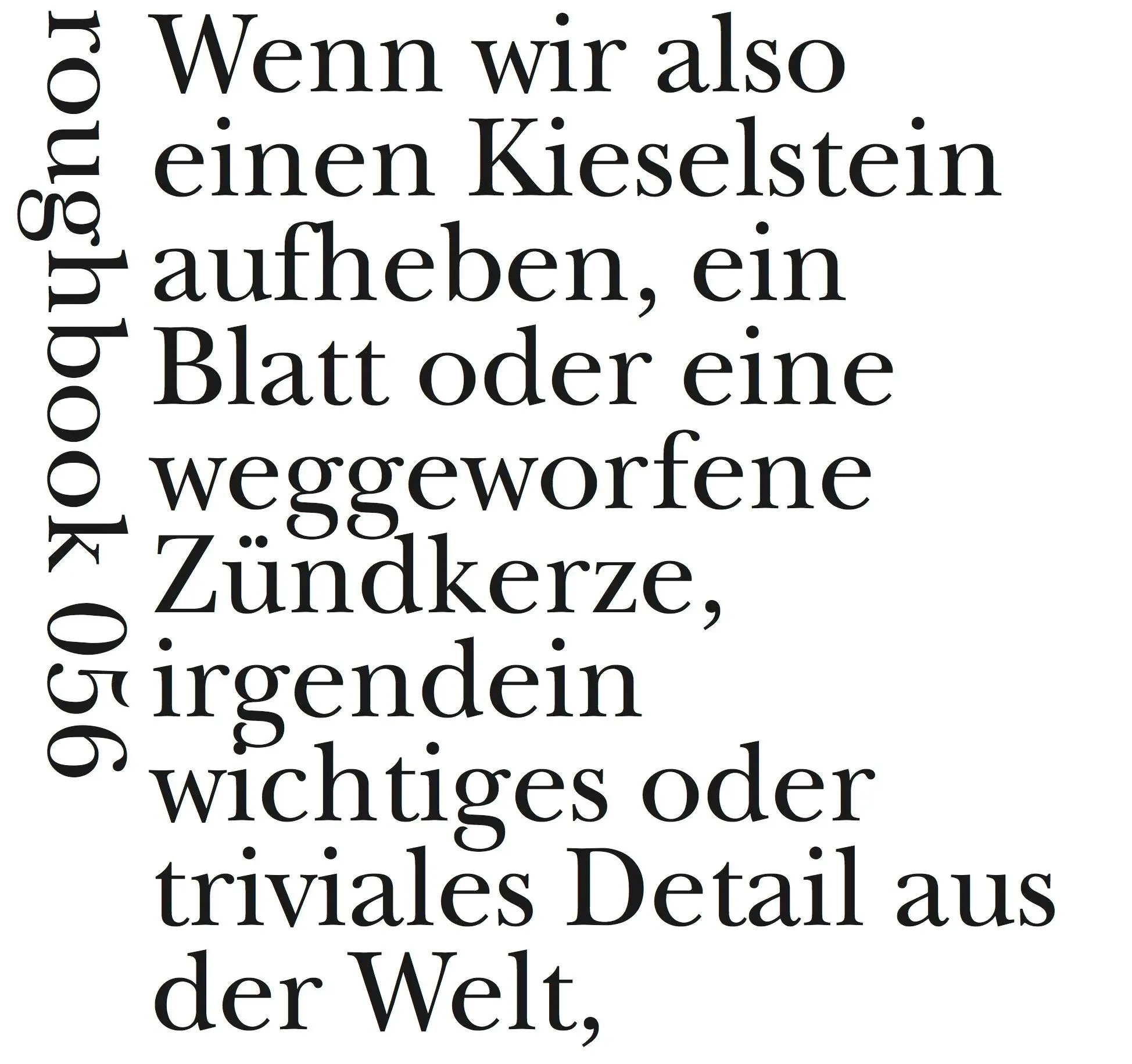 Cover: 9783906050898 | Mein Hirn: ein See | Ágnes Nemes Nagy | Taschenbuch | roughbooks