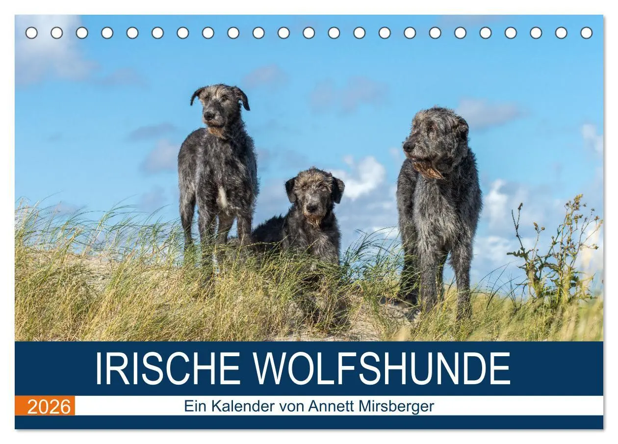 Cover: 9783457890998 | Irische Wolfshunde (Tischkalender 2026 DIN A5 quer), CALVENDO...