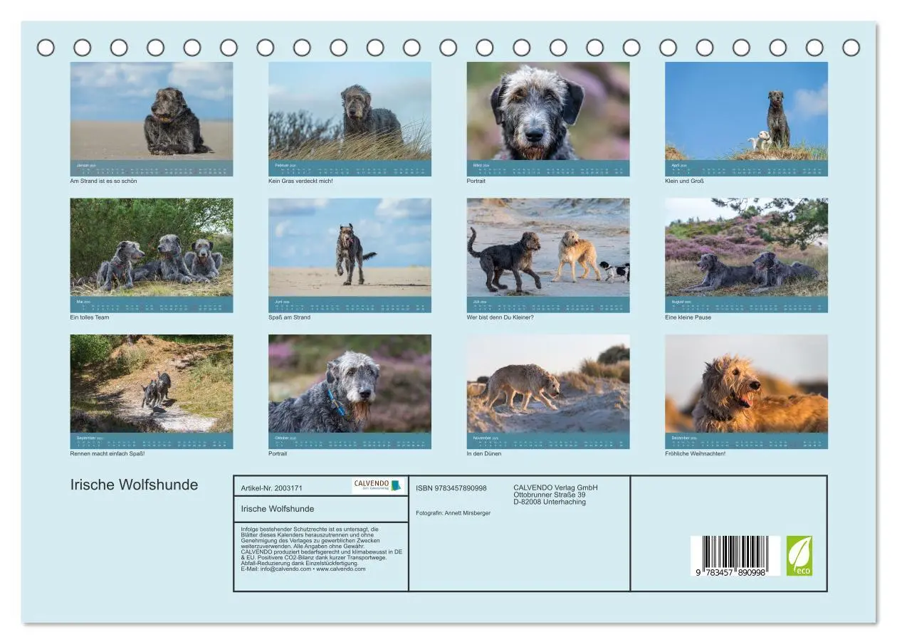 Bild: 9783457890998 | Irische Wolfshunde (Tischkalender 2026 DIN A5 quer), CALVENDO...