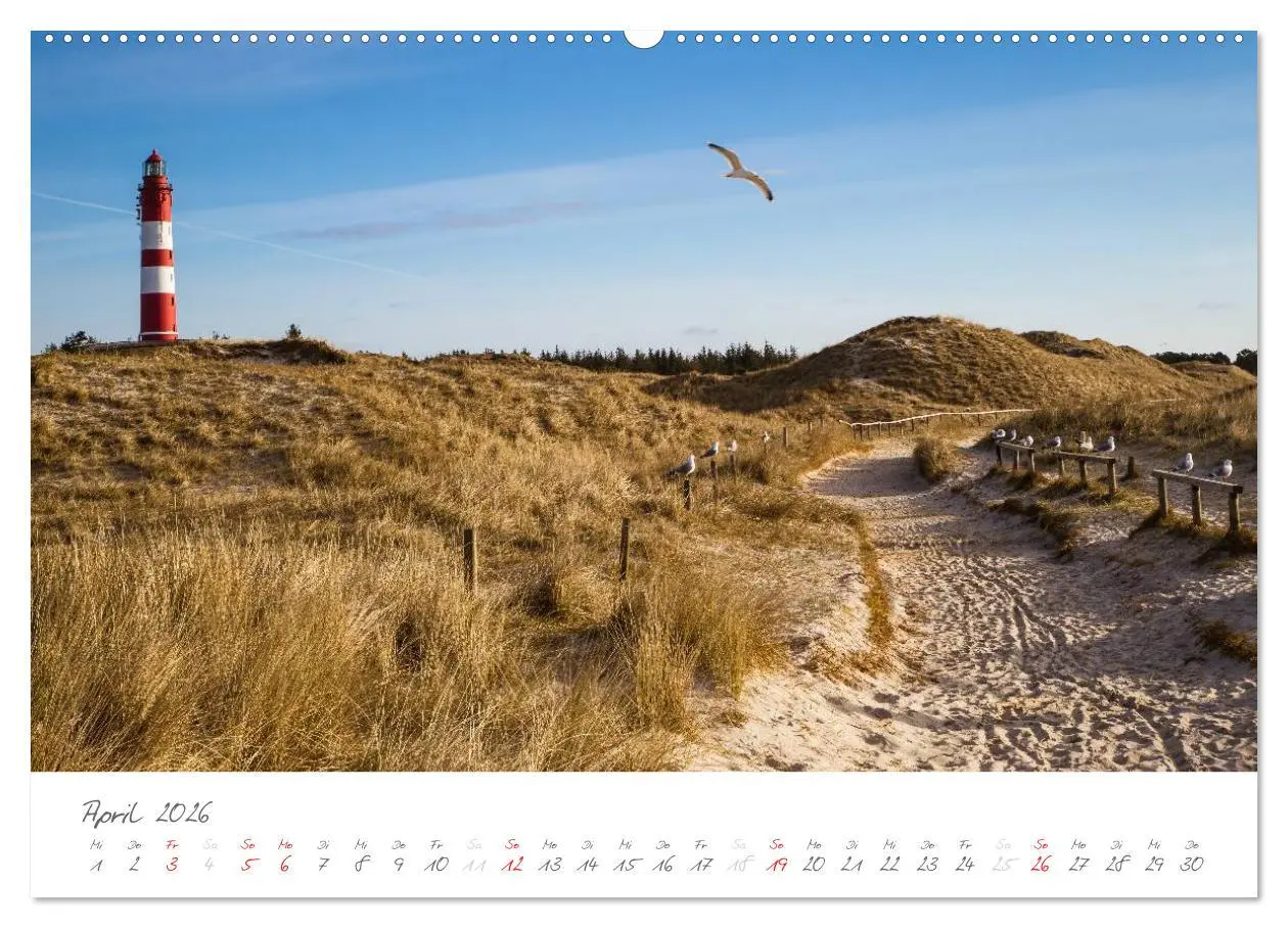 Bild: 9783516050998 | Amrum - Eine farbenfrohe Insellandschaft (hochwertiger Premium...