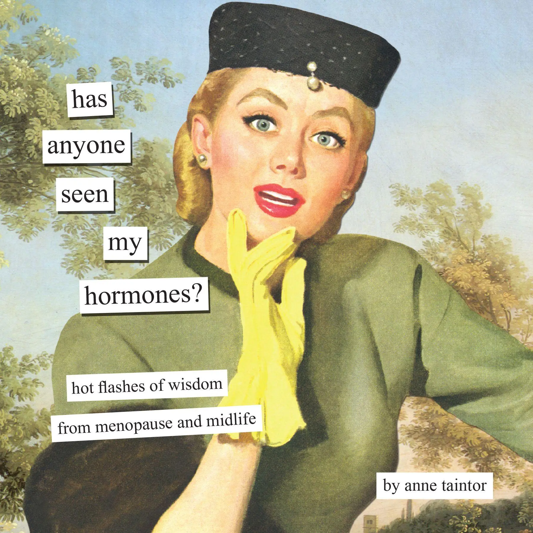 Cover: 9781797241098 | Has Anyone Seen My Hormones? | Anne Taintor | Buch | Englisch | 2026