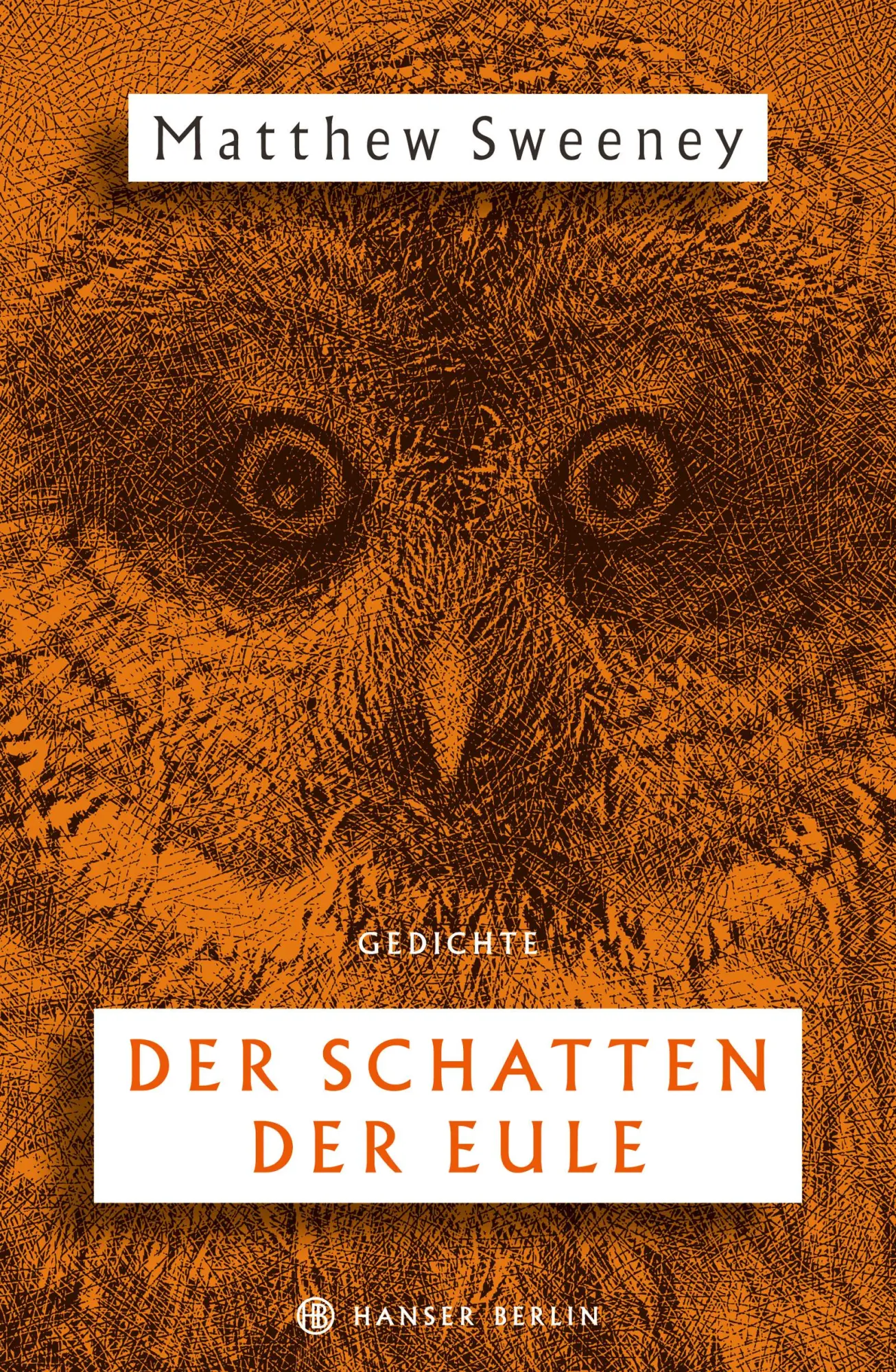 Cover: 9783446271098 | Der Schatten der Eule | Gedichte | Matthew Sweeney | Buch | 200 S.