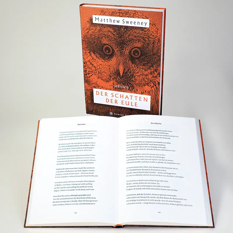 Bild: 9783446271098 | Der Schatten der Eule | Gedichte | Matthew Sweeney | Buch | 200 S.