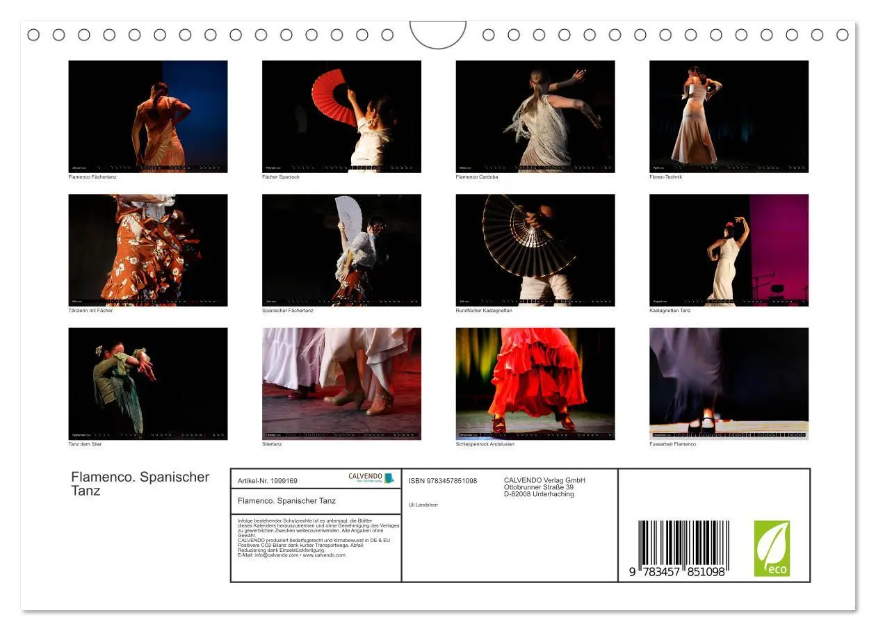Bild: 9783457851098 | Flamenco. Spanischer Tanz (Wandkalender 2026 DIN A4 quer), CALVENDO...