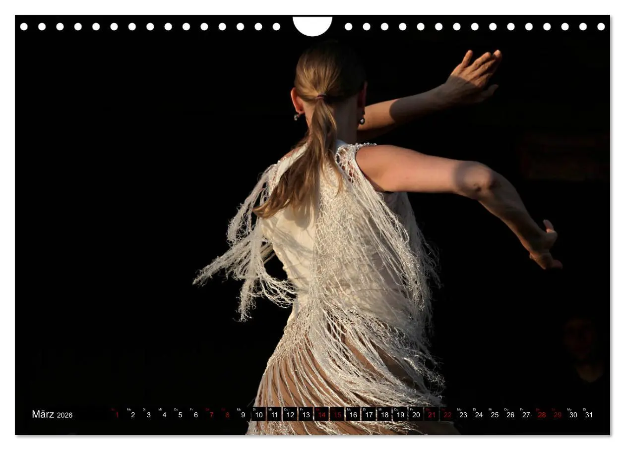 Bild: 9783457851098 | Flamenco. Spanischer Tanz (Wandkalender 2026 DIN A4 quer), CALVENDO...