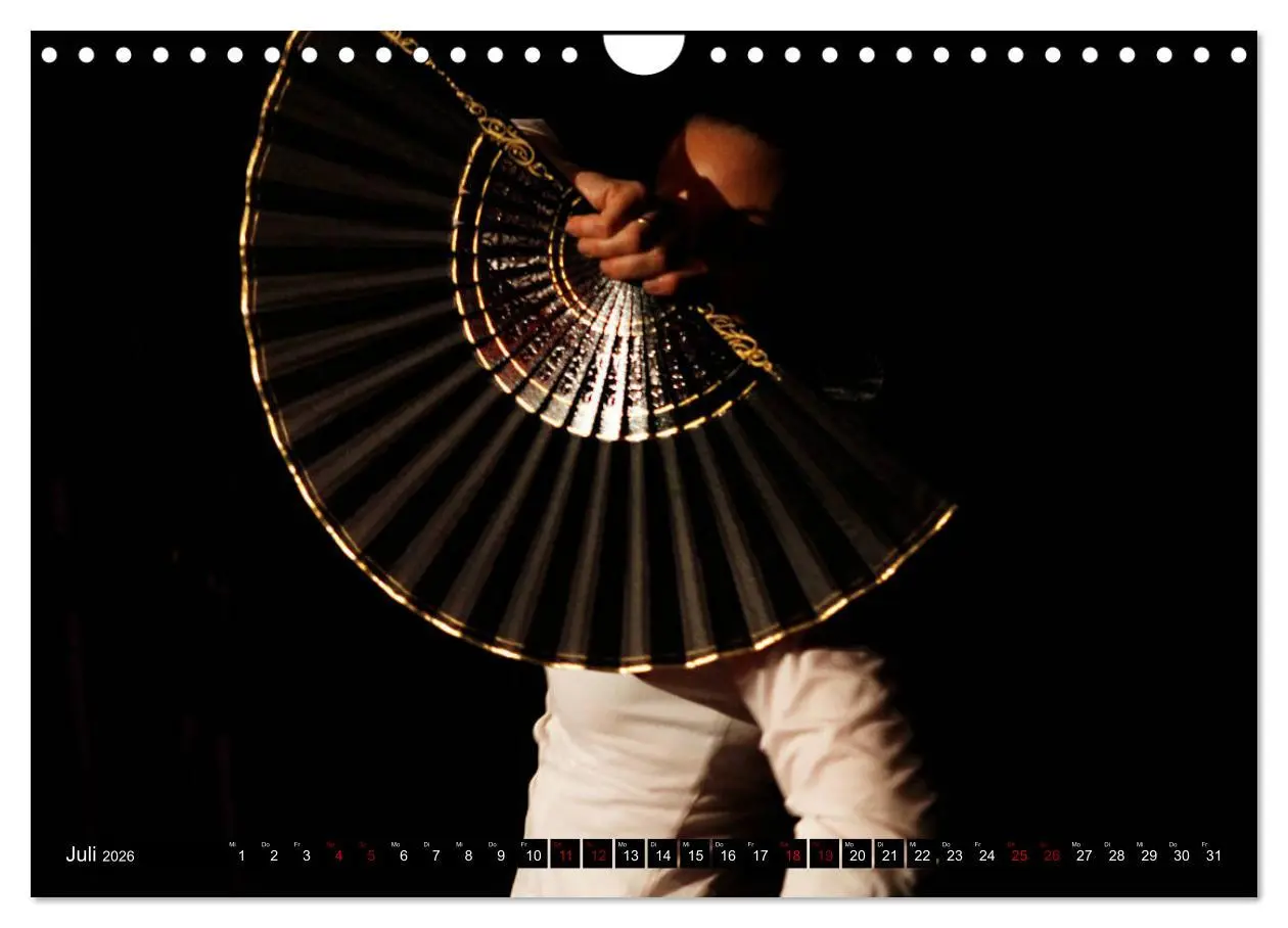 Bild: 9783457851098 | Flamenco. Spanischer Tanz (Wandkalender 2026 DIN A4 quer), CALVENDO...