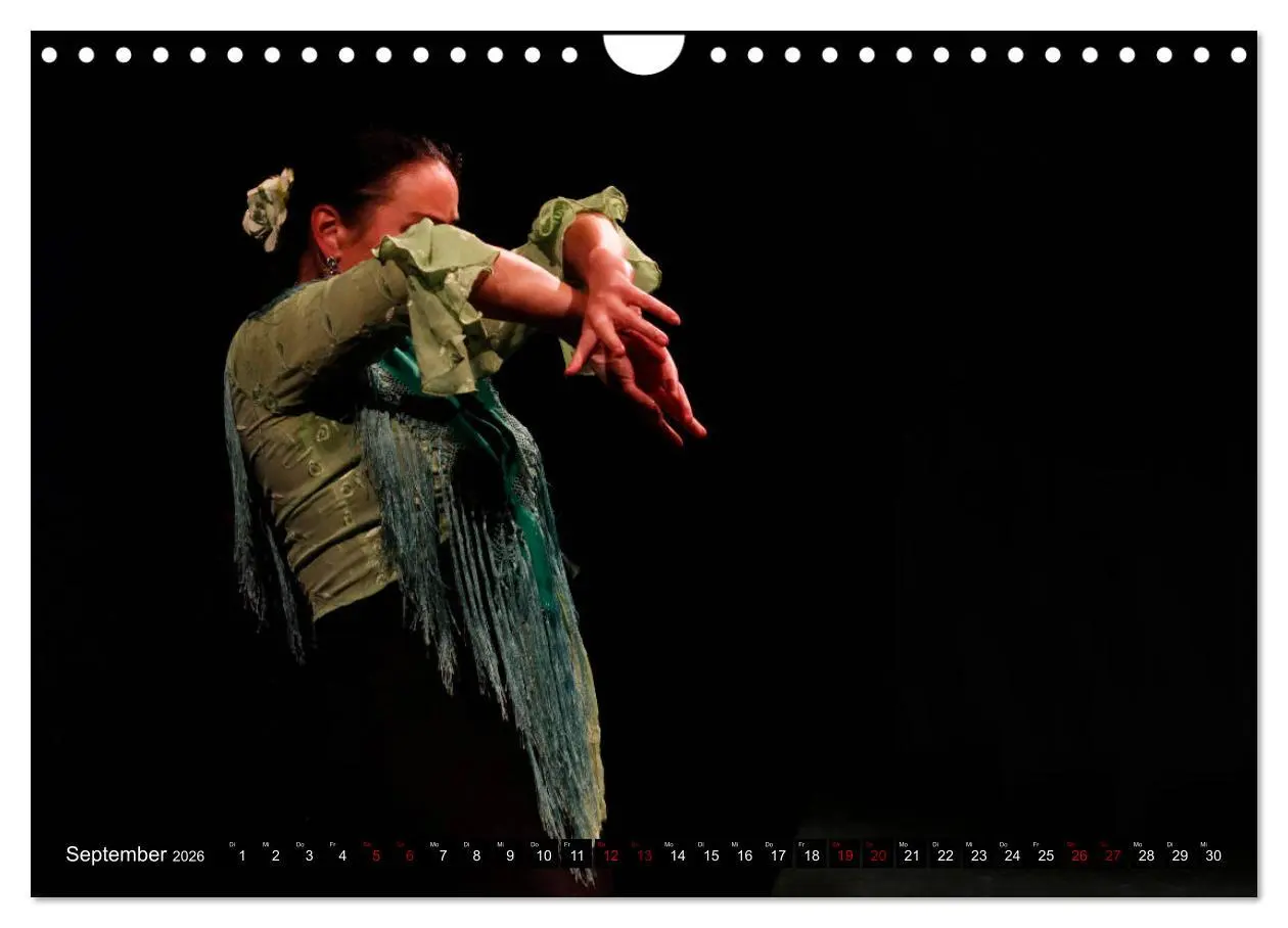 Bild: 9783457851098 | Flamenco. Spanischer Tanz (Wandkalender 2026 DIN A4 quer), CALVENDO...